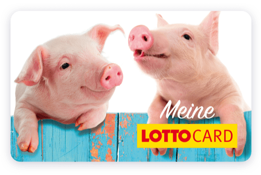 Lottocard - Schweine Motiv