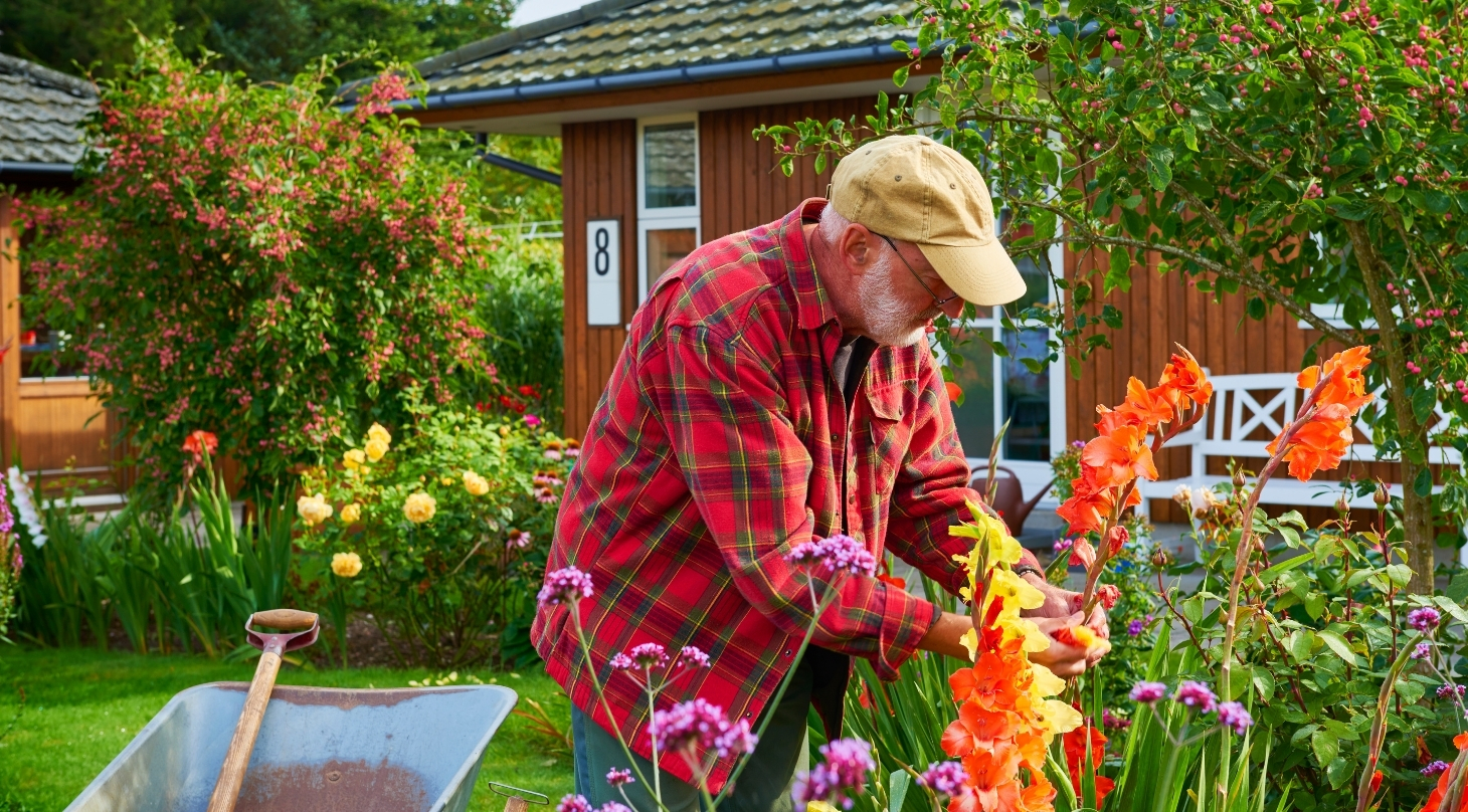 Schönster Garten in Brandenburg gesucht Schönster Garten in Brandenburg gesucht