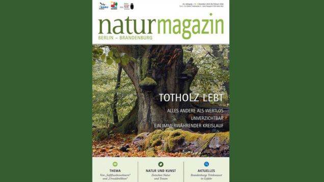 Foto vom Cover des naturmagazin