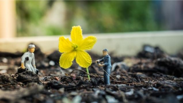 Symbolbild Better World Award mit Blüte auf einem Baugrund Symbolbild Better World Award mit Blüte auf einem Baugrund