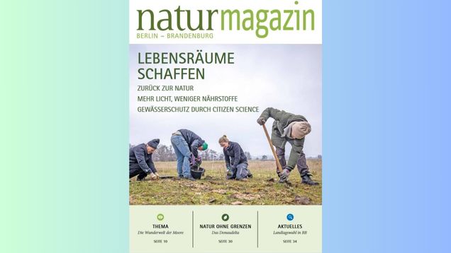 Foto vom Cover des naturmagazin