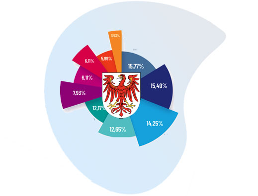 Grafik Prozentuale Verteilung