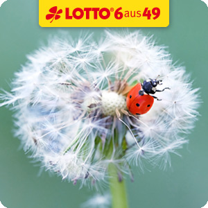 LOTTO 6aus49 - Spielen beim Original